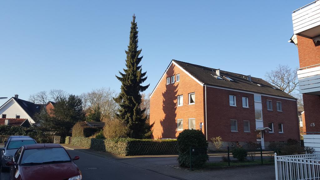 Muenstersdachstuebchen Munster (North Rhine-Westphalia) Quarto foto